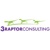 3Raptor Consulting, LLC logo
