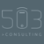 503 Consulting logo