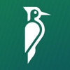 Accelerate Now Law Firm Marketing logo