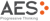 AES Technologies India Pvt Limited logo