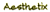 Aesthetix logo