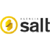 Agncia Salt logo