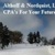 Althoff and Nordquist LLC logo