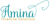 Amina Financial Solutions LLC logo