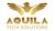 Aquila Tech Solutions Pvt Ltd logo