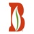 Bailey Land Group logo