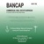 Bancap Commercial Real Estate logo