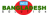 Bangladesh web solution logo