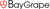 BayGrape Technology Solutions logo