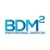 BDM Squared Professional Services logo