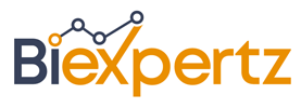 BI Expertz logo