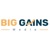 Big Gains Media - Marketing Recovery logo