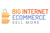 Big Internet Seller Services Inc logo