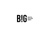 BIG (trading name of Irenicon Ltd) logo