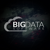 BigData Software logo