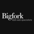 Bigfork Ltd logo