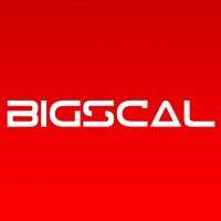 Bigscal Technologies PVT. LTD. logo