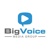BigVoice Media Group logo