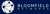 Bloomfield Networks logo