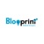 Blooprint Consulting logo