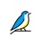 Blubird Media logo
