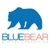 Blue Bear Digital Consulting logo