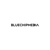 Blue Chip Media logo
