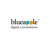BlueApple Technologies Pvt Ltd logo