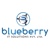 Blueberry IT Solutions Pvt Ltd logo