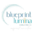 Blueprint Lumina Consulting LLC logo