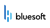 BlueSoft Sp. z o.o. logo