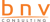 BNV Consulting logo