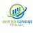 Boyer Ginori CPAs LLC logo