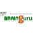 Brainguru Technologies Pvt Ltd logo