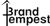 Brand Tempest logo
