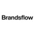 Brandsflow logo