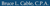Bruce L. Cable, CPA logo