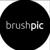 BrushPic logo