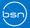 BSN Latam logo