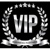 Business Partner VIP Services LLC. logo