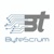 Bytescrum Technologies Private Limited logo