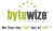 ByteWize, Inc. logo