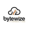 Bytewize logo