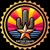 Cactus Valley Web Design logo