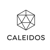 Caleidos logo