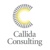 Callida Consulting logo