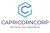 Capricorncorp Fraud Company logo