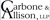 Carbone & Allison, LLP - CPAs logo