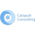 Catapult Consulting, LLC logo