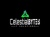 Celestialbytes IT-Solutions logo